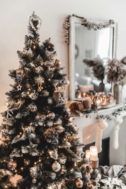 decoration-noel-nature-2020-11